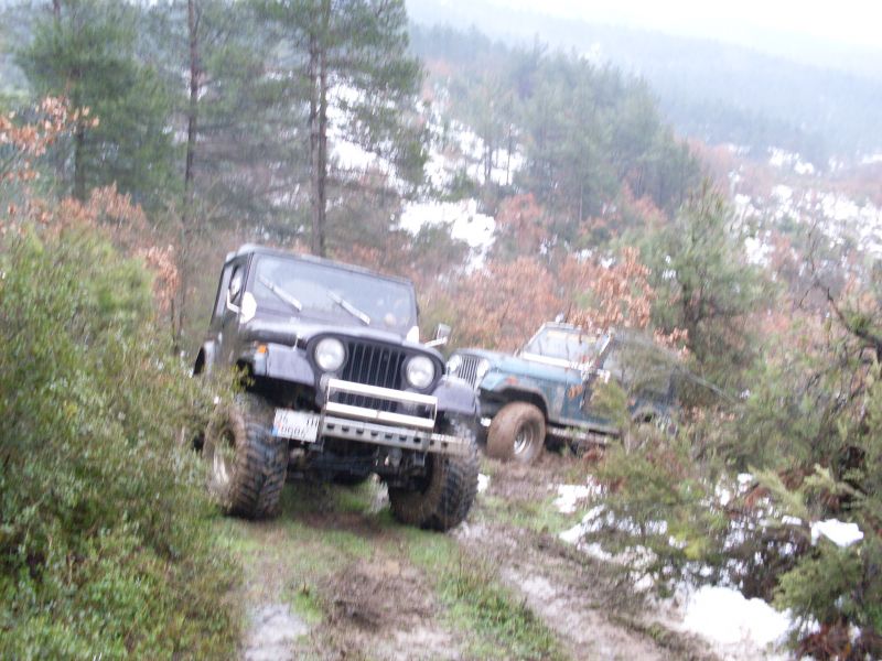 SDC10546.jpg