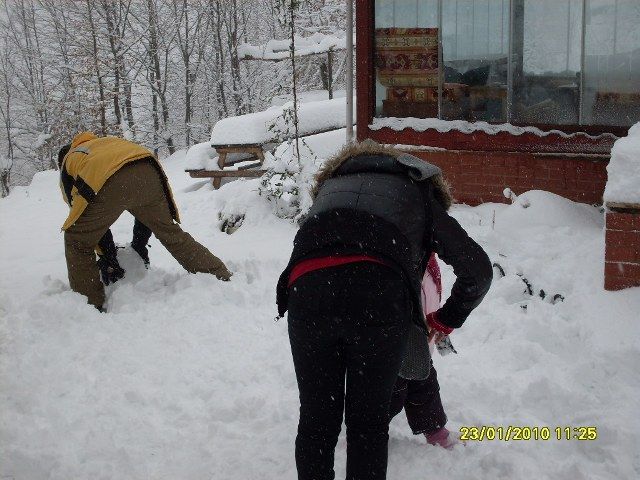 SDC10677.jpg