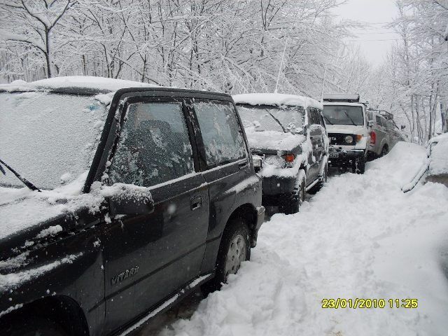 SDC10678.jpg