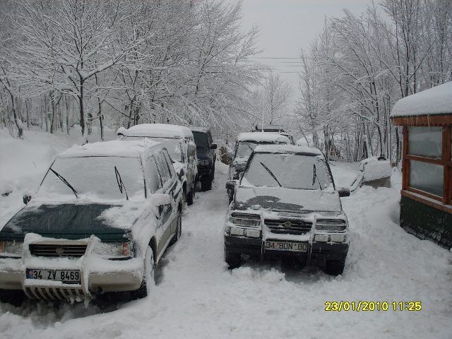 SDC10679.jpg