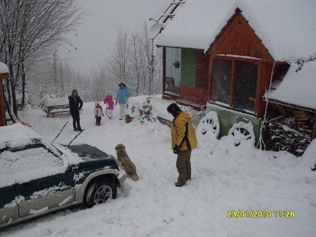 SDC10680.jpg