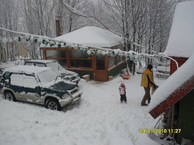 SDC10687.jpg