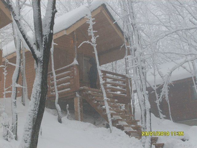 SDC10694.jpg