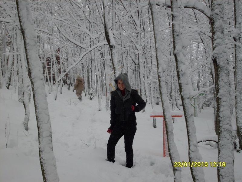 SDC10705.jpg