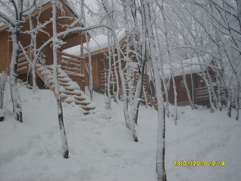 SDC10709.jpg