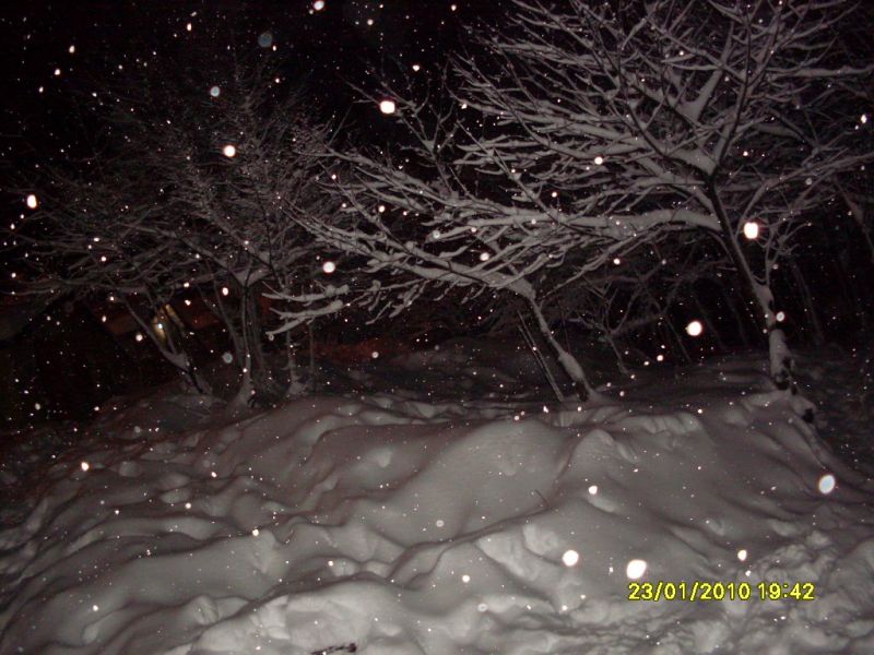 SDC10735.jpg