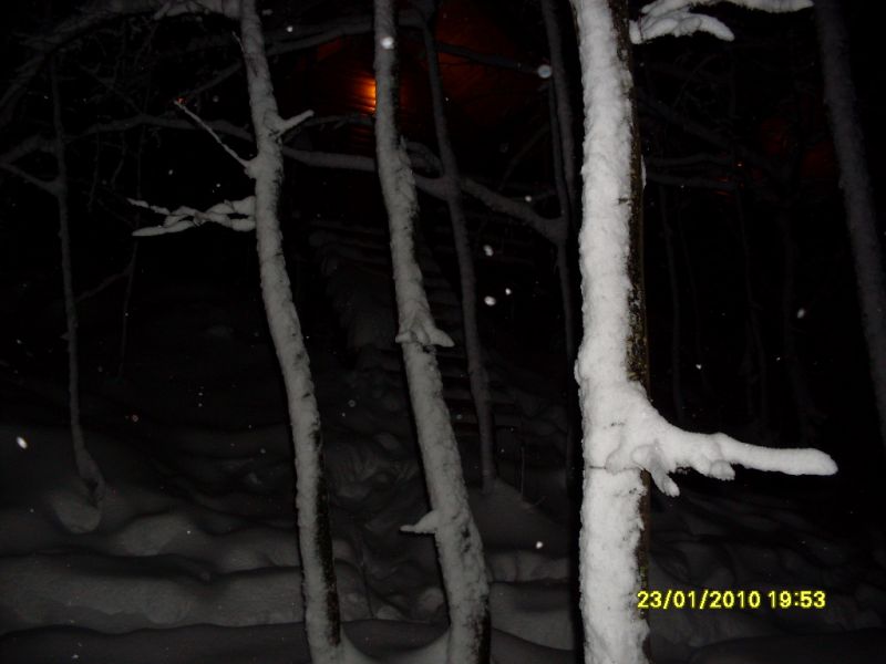 SDC10750.jpg