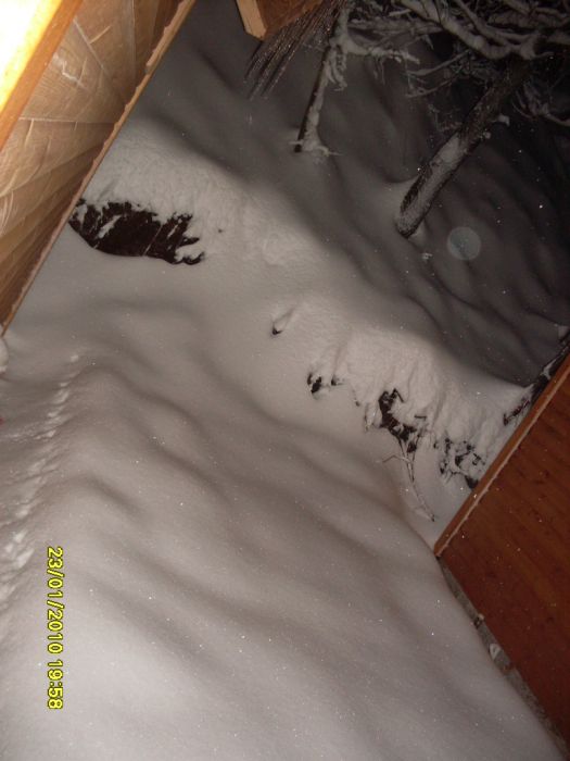 SDC10757.jpg