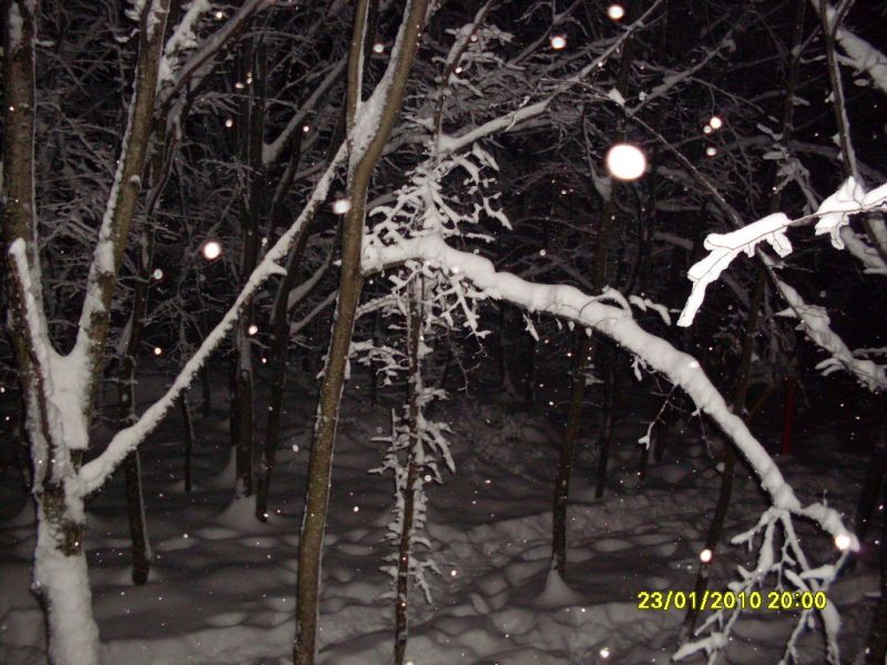 SDC10759.jpg