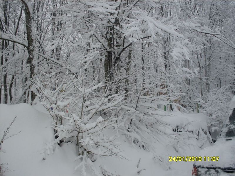 SDC10763.jpg