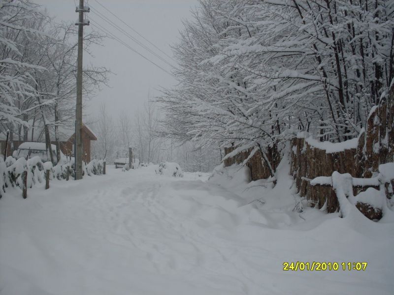 SDC10764.jpg