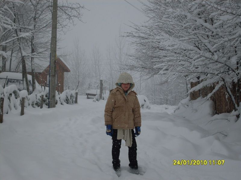 SDC10765.jpg