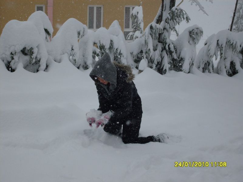 SDC10769.jpg