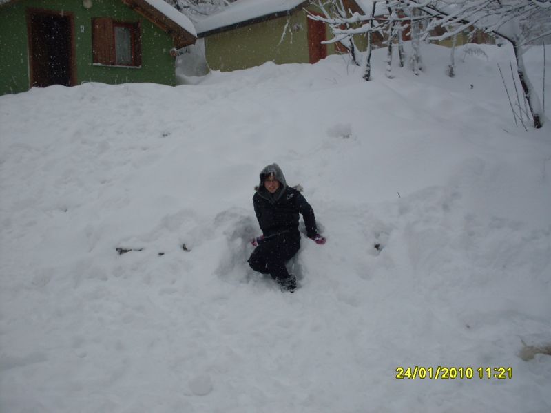 SDC10797.jpg