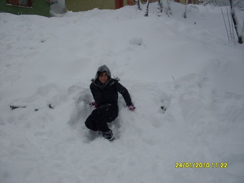 SDC10798.jpg