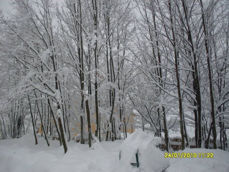SDC10800.jpg