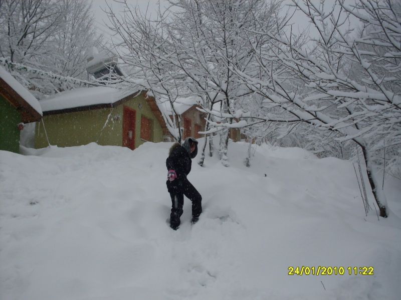 SDC10801.jpg