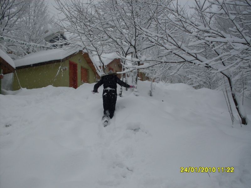 SDC10802.jpg