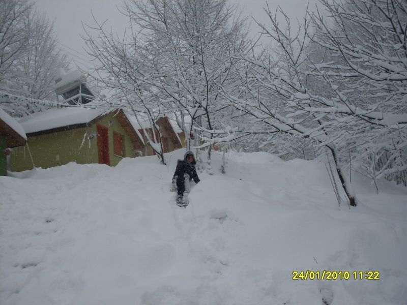 SDC10803.jpg