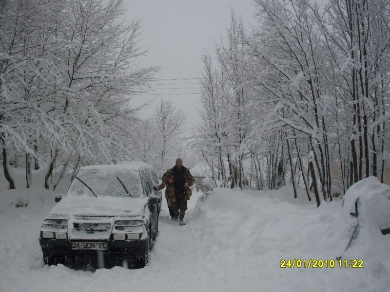 SDC10805.jpg