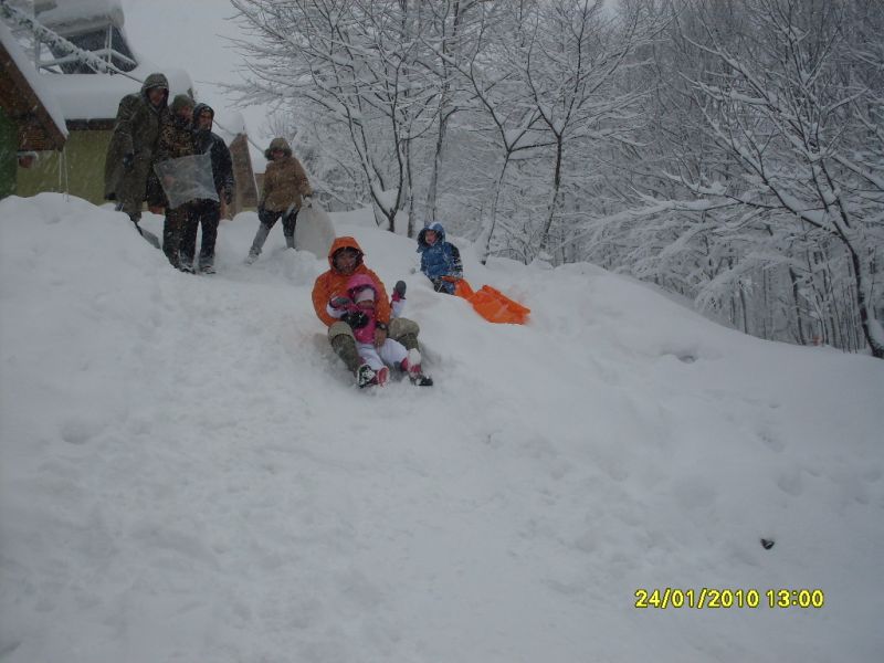 SDC10826.jpg