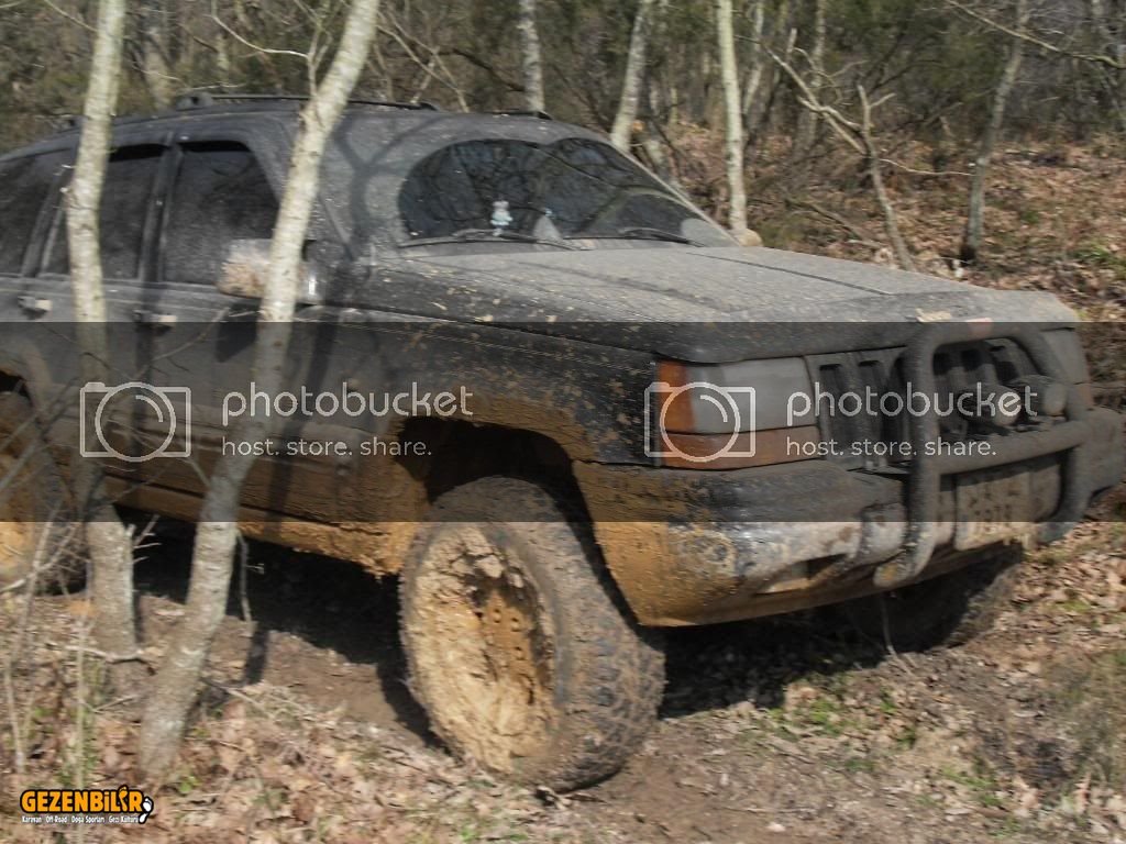 SDC11134.jpg
