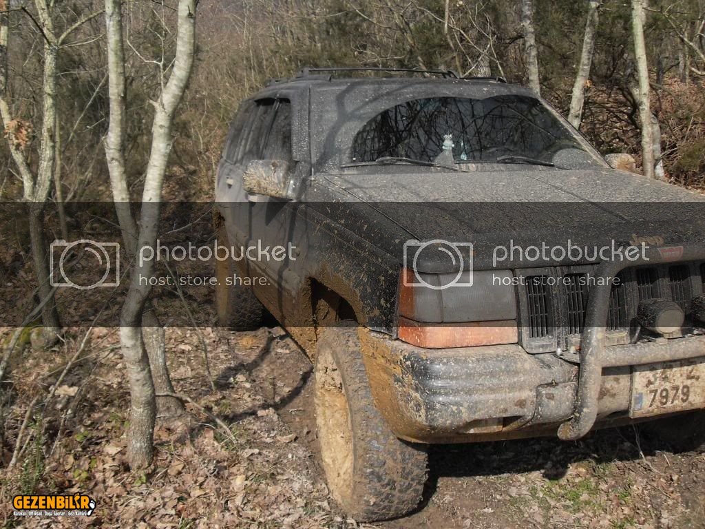 SDC11137.jpg