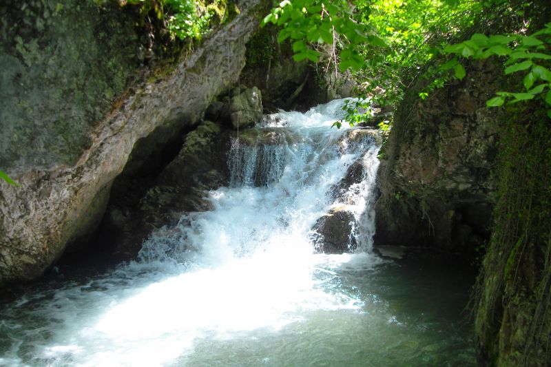 SDC11148.jpg