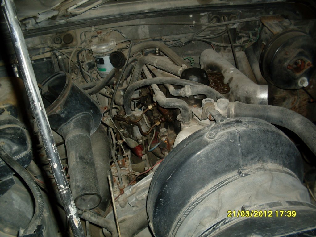 SDC11631.JPG