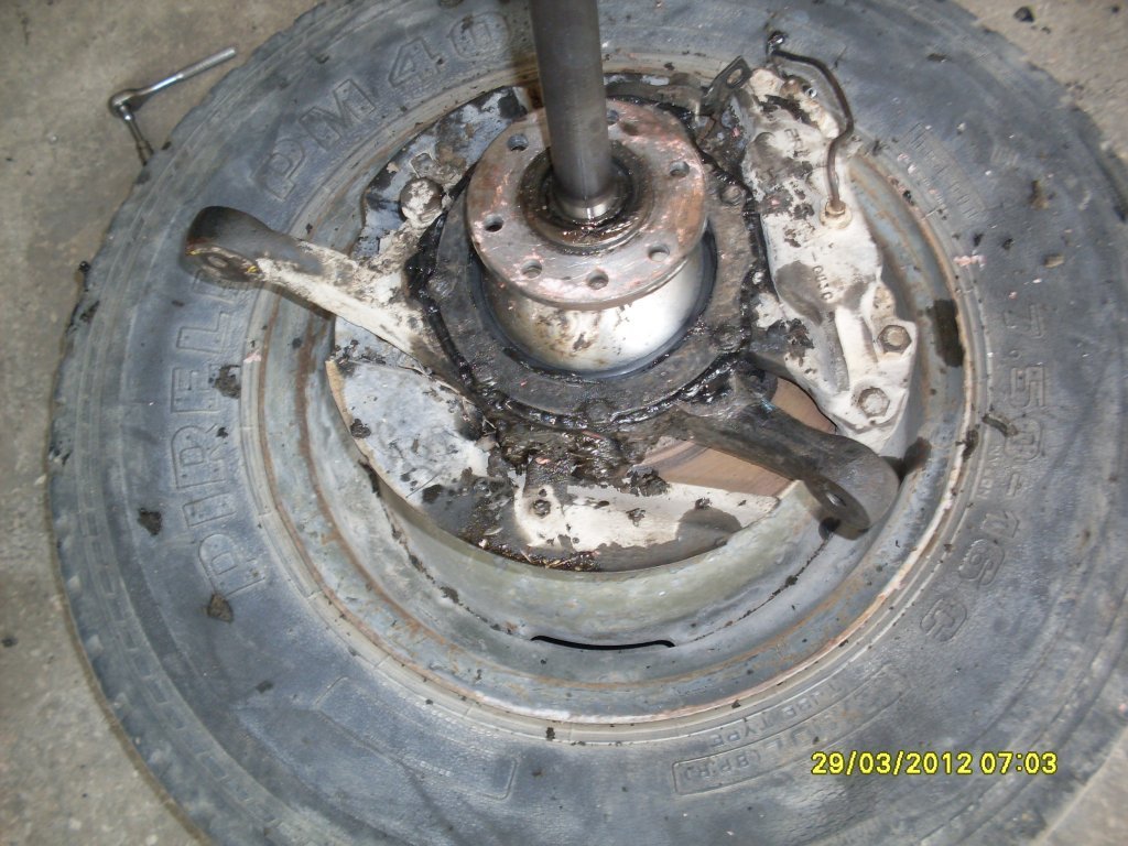 SDC11780.JPG