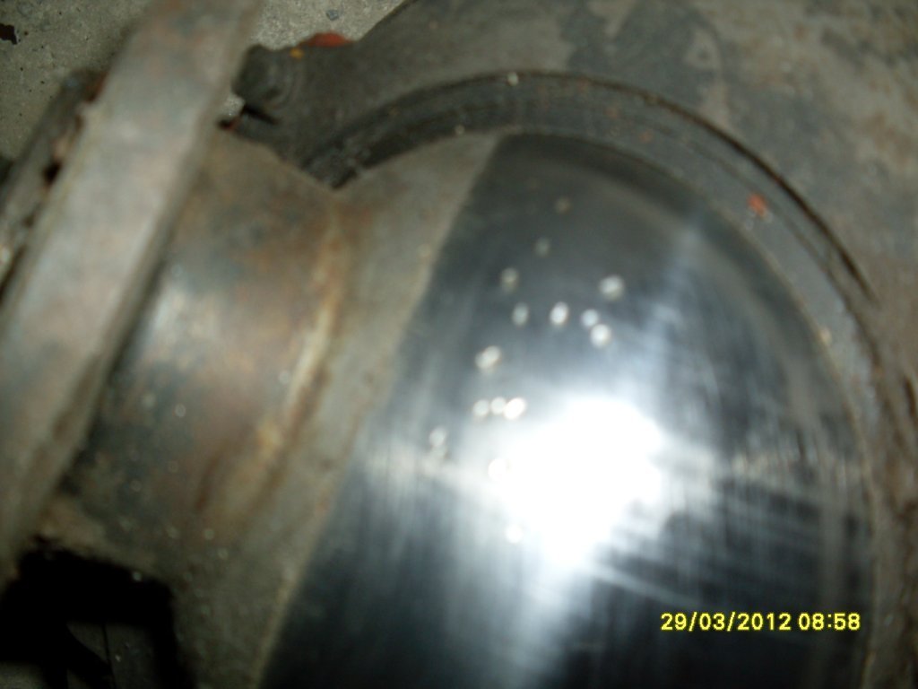 SDC11781.JPG