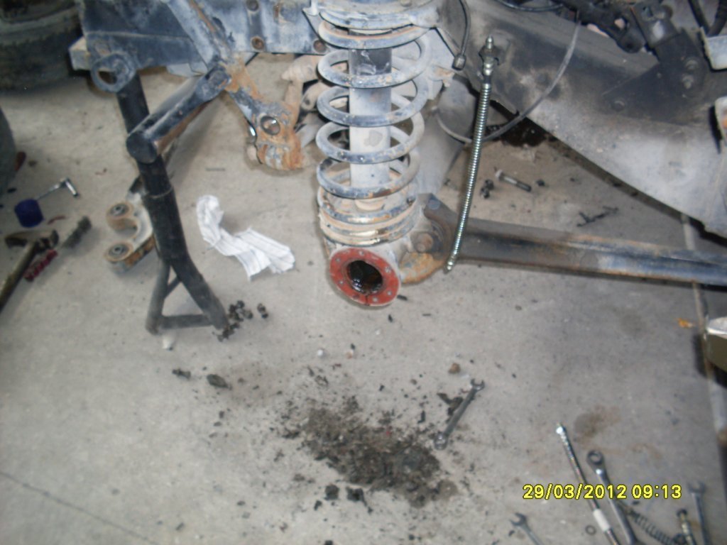 SDC11785.JPG