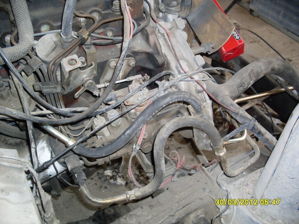 SDC11795.JPG