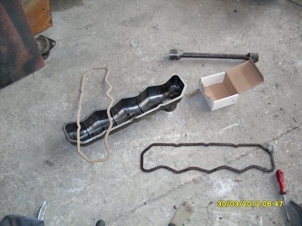 SDC11801.JPG