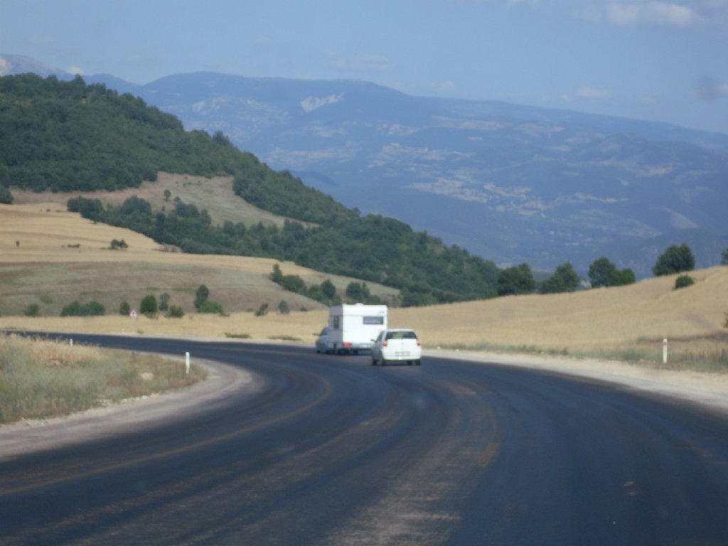 SDC12055.JPG