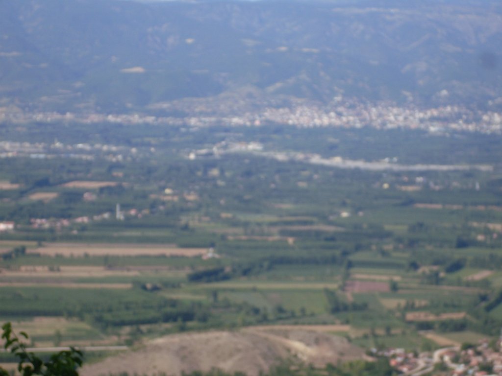 SDC12070.JPG