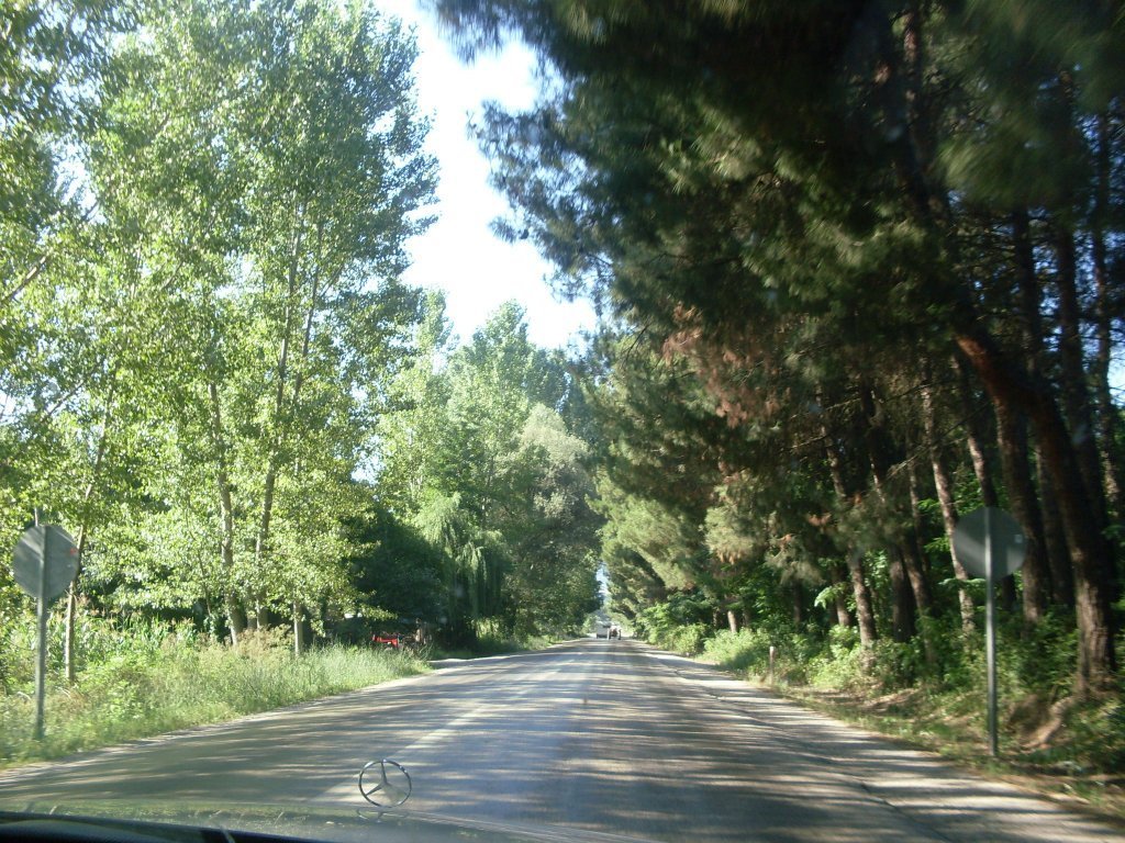 SDC12076.JPG