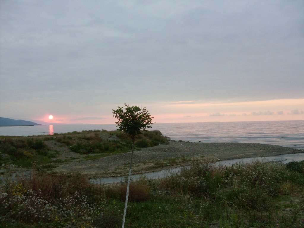SDC12183.JPG