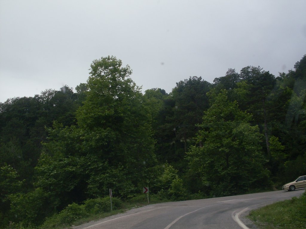 SDC12203.JPG