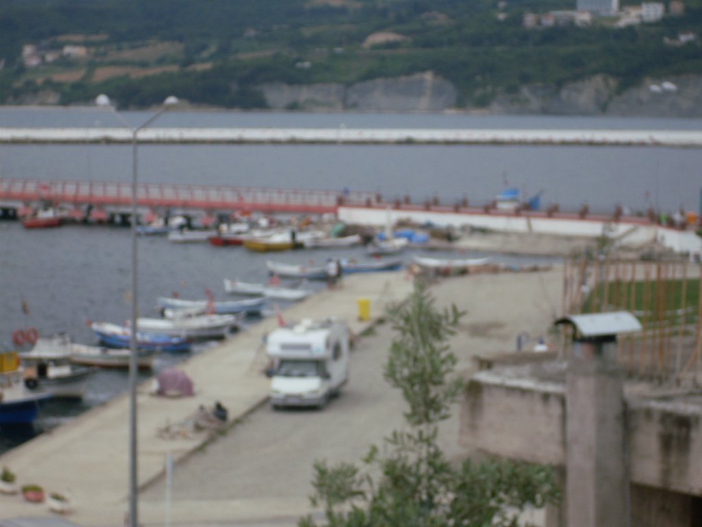 SDC12222.JPG
