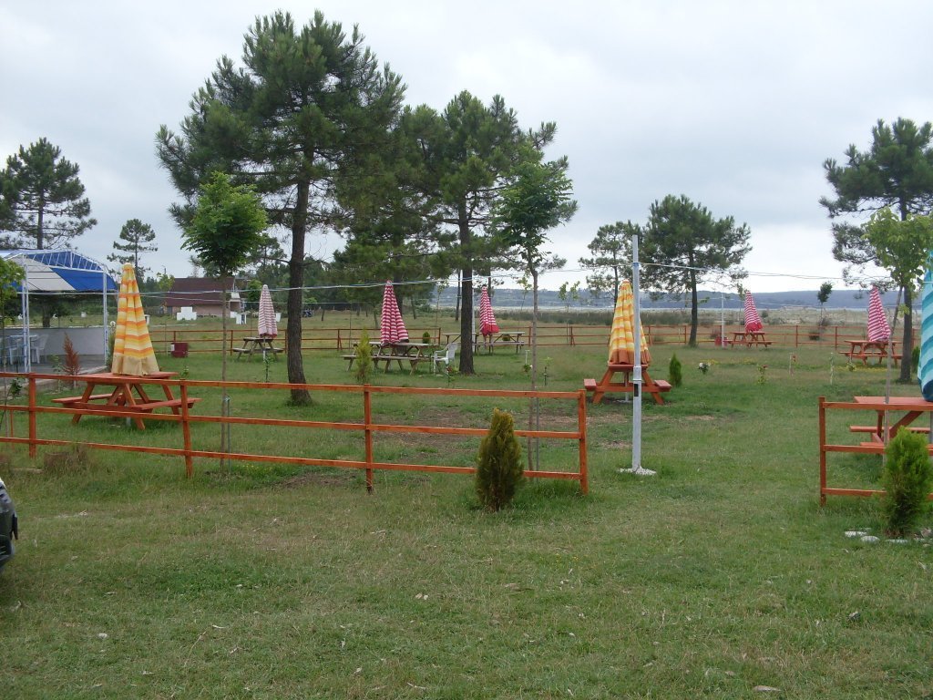 SDC12244.JPG