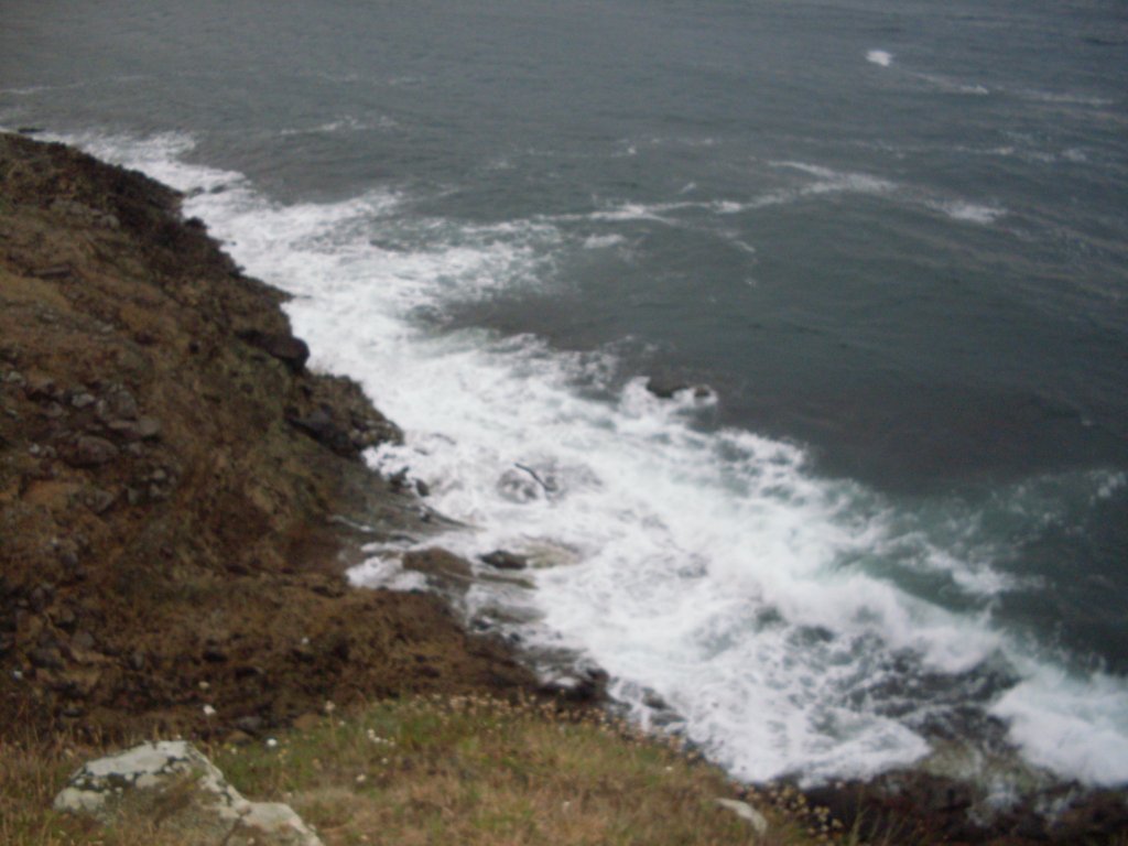 SDC12260.JPG