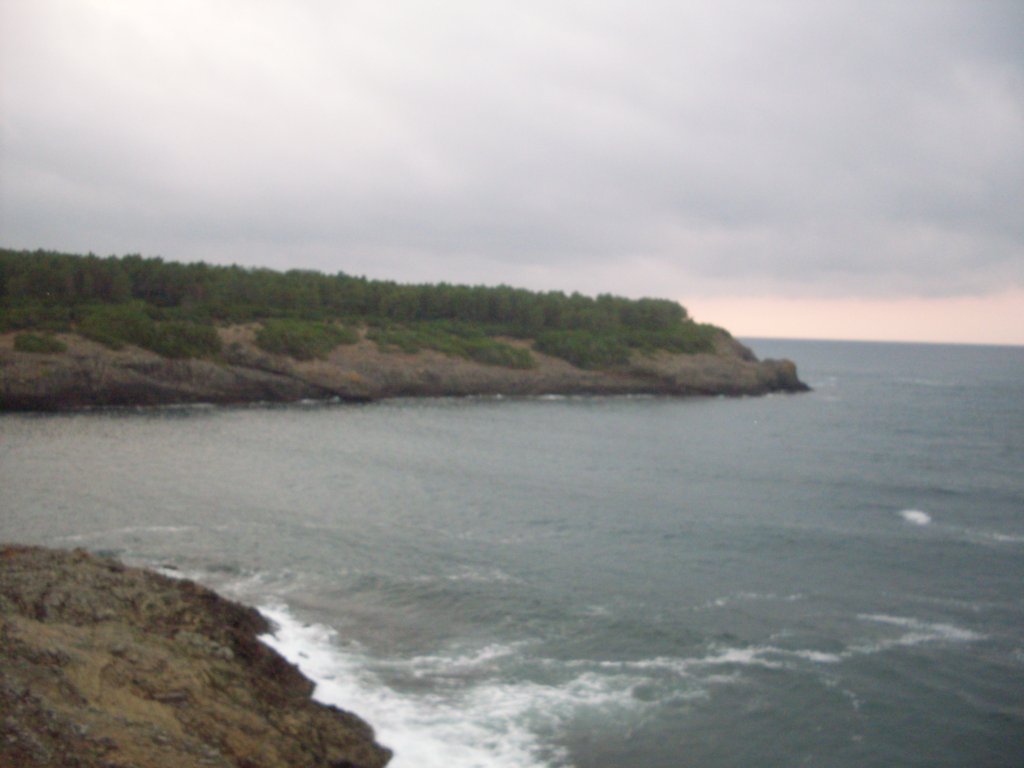 SDC12261.JPG