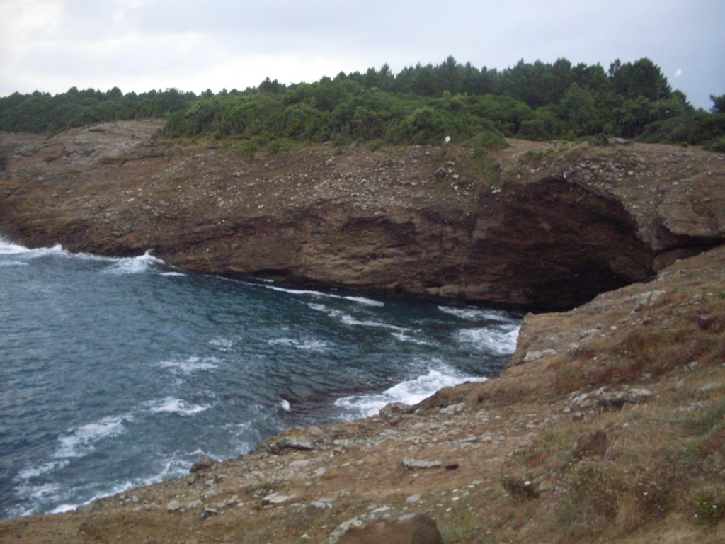 SDC12265.JPG