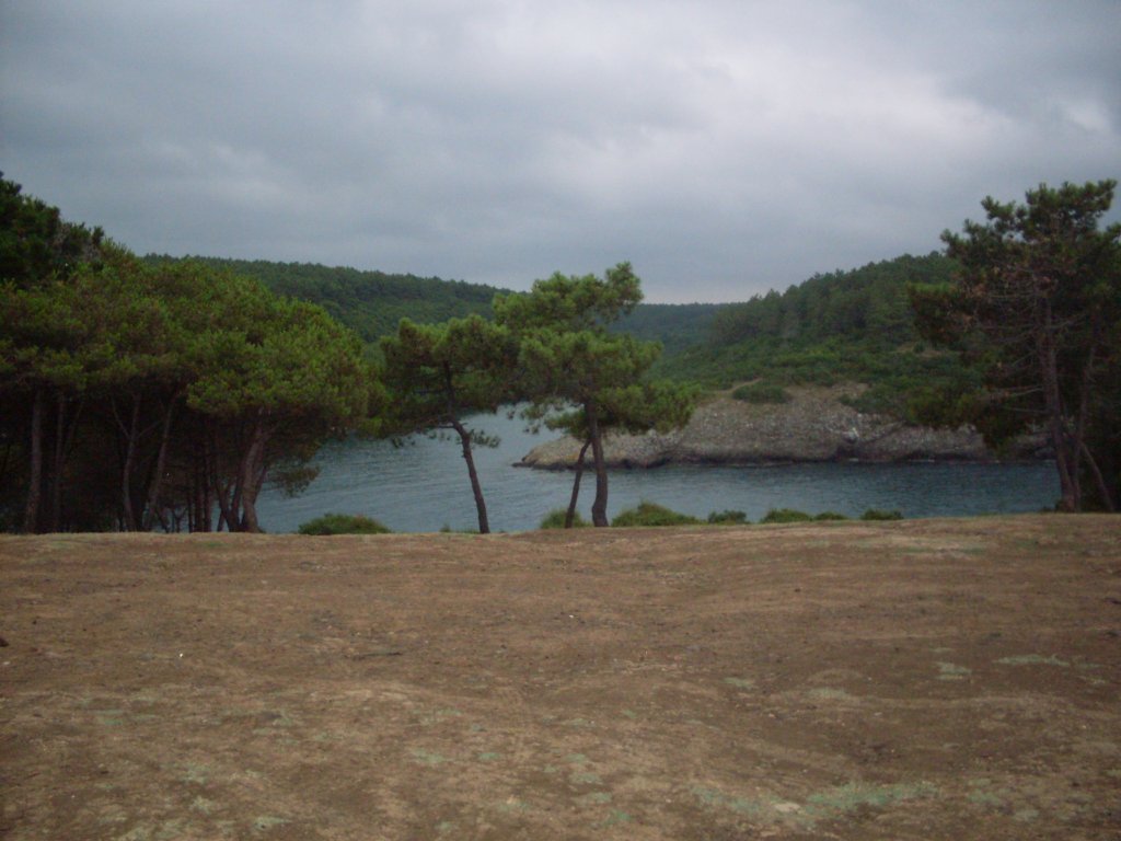 SDC12268.JPG