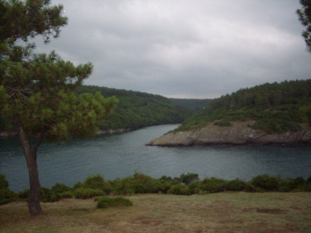 SDC12269.JPG