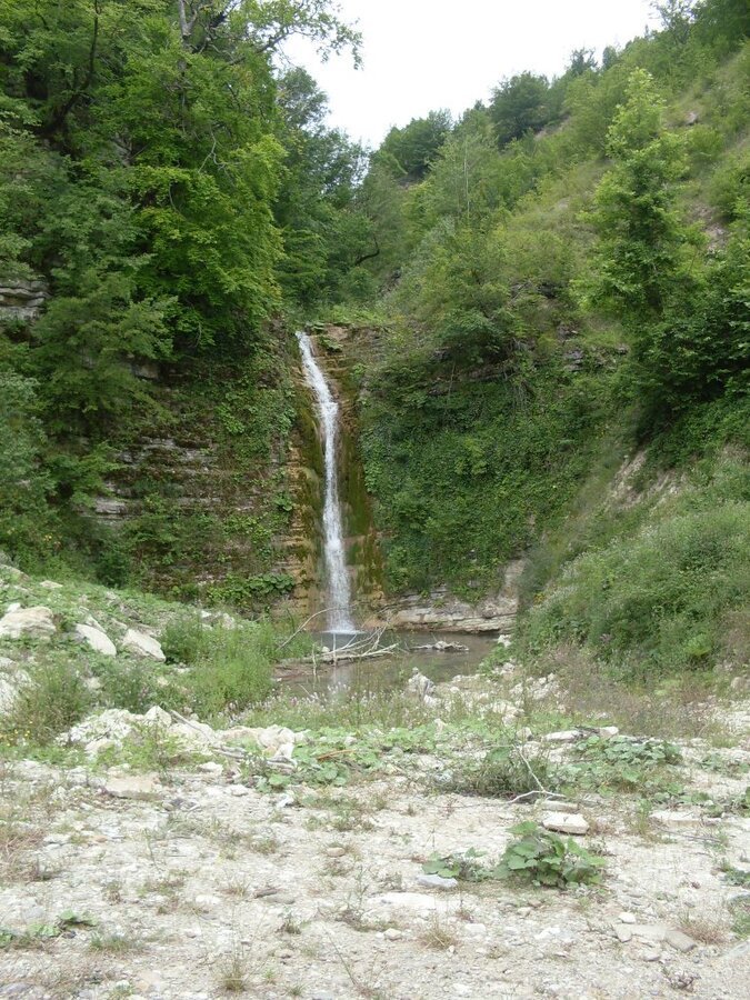 SDC12288.JPG