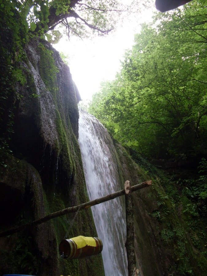 SDC12315.JPG