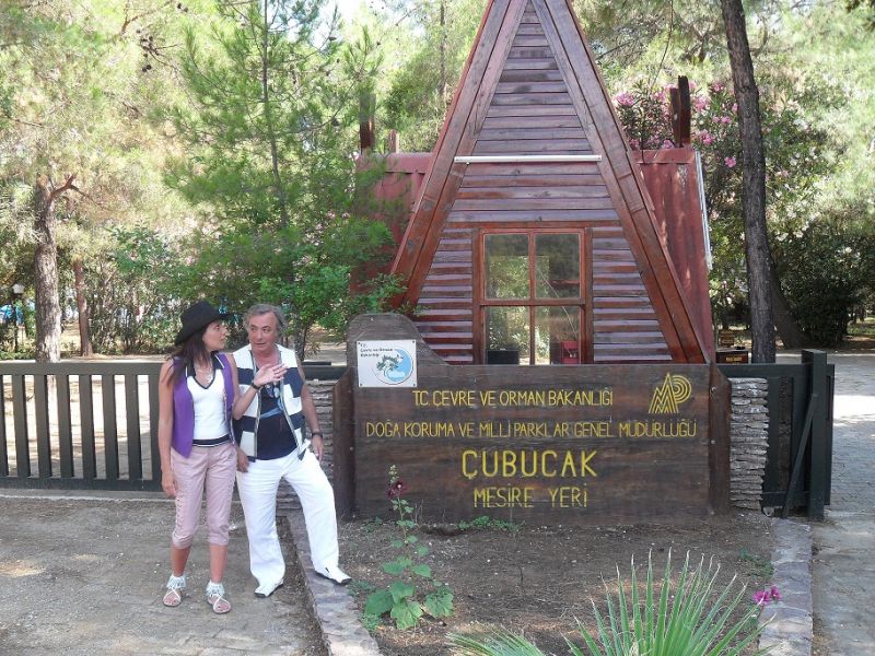 SDC12548.jpg