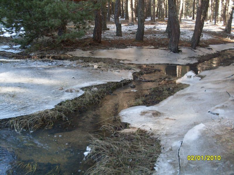 SDC12737.jpg